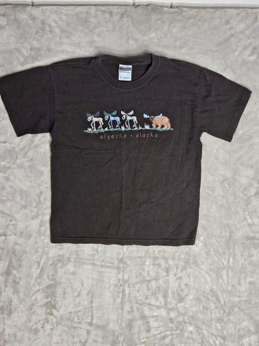 Youth T-shirt - Medium