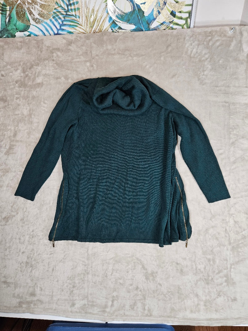 Michel Studio Turtleneck - 3X