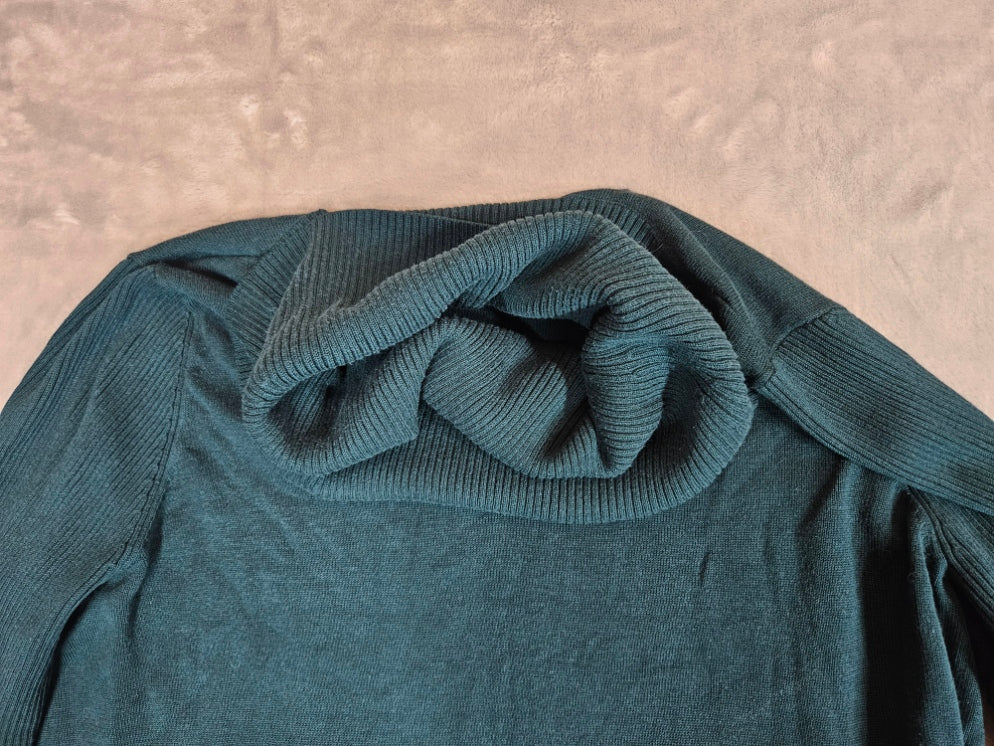 Michel Studio Turtleneck - 3X
