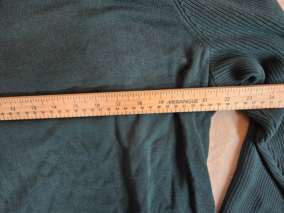 Michel Studio Turtleneck - 3X