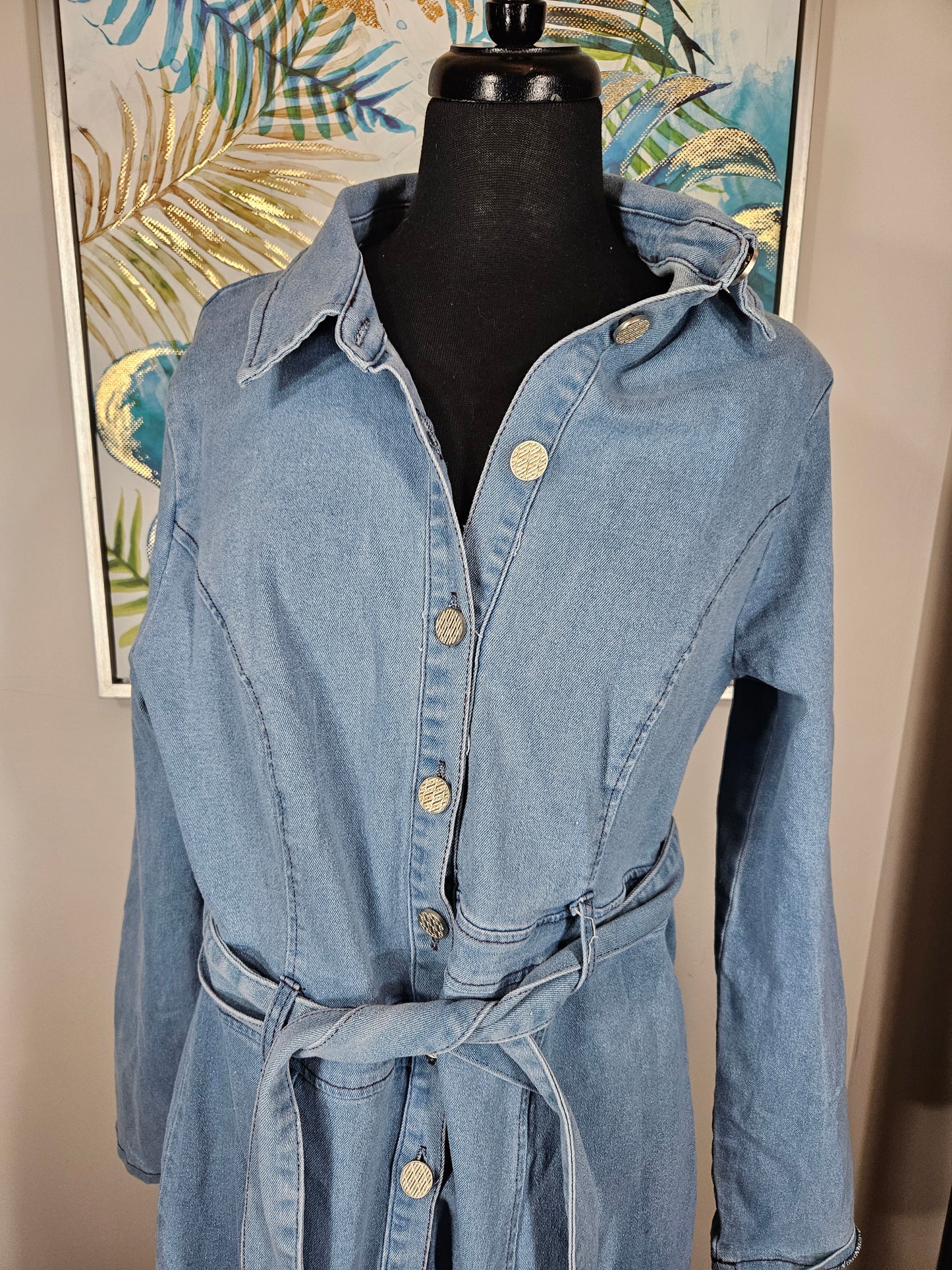 Fashion Nova Denim Dress - Size 2X